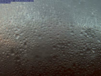 2025-05-29