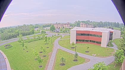 2025-06-06