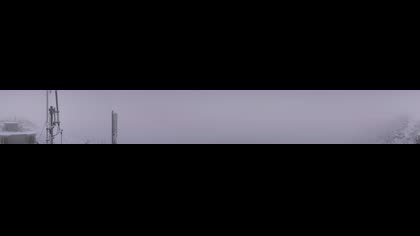 2025-10-08