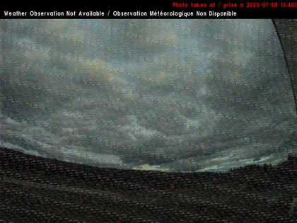 2025-07-08