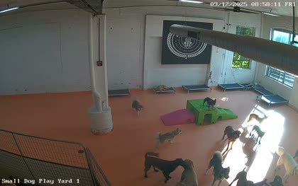 2025-09-12
