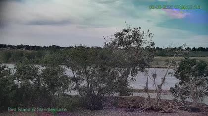 2026-06-08