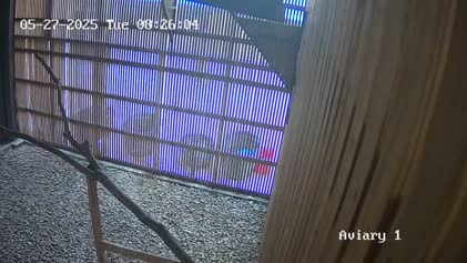 2025-05-27