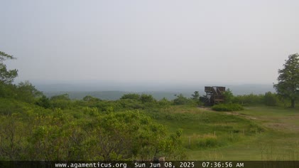 2025-06-08