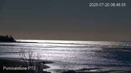 2025-07-20