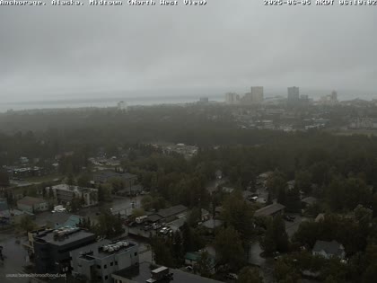 2025-06-05