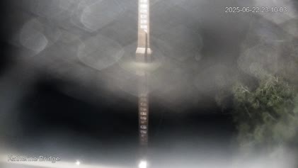 2025-06-22