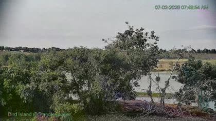 2026-07-02