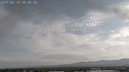 2025-06-15