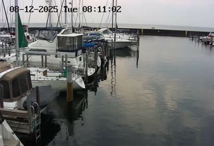 2025-08-12