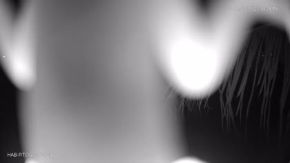 2025-07-05