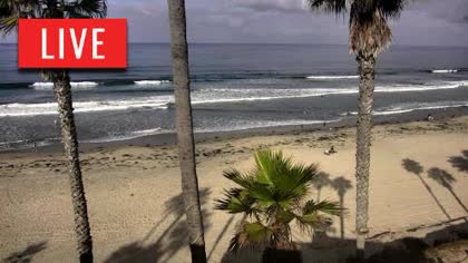 2026-09-19