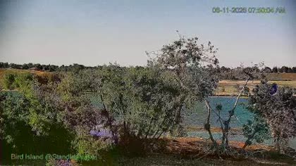 2026-06-11
