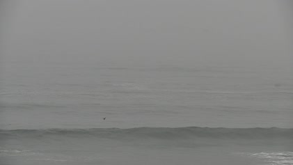 2025-06-10