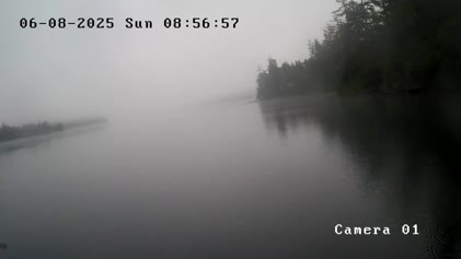 2025-06-08