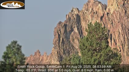 2025-08-29