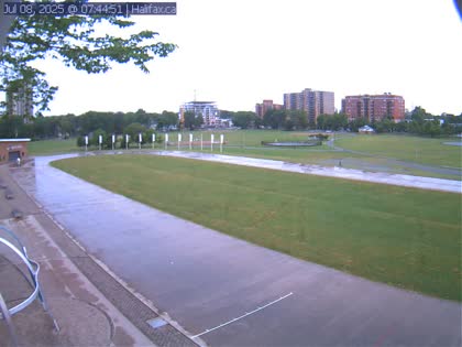 2025-07-08