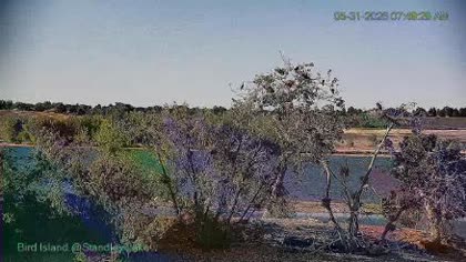 2026-05-31