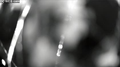 2025-07-16