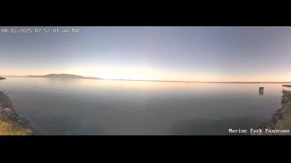 2025-08-12