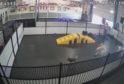 2025-07-22
