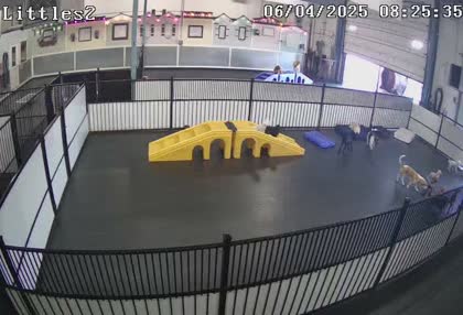 2025-06-04