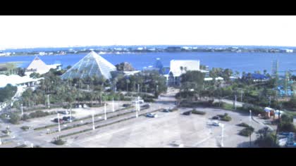 2025-08-29