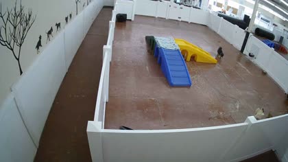 2025-10-05