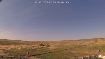 2025-07-09