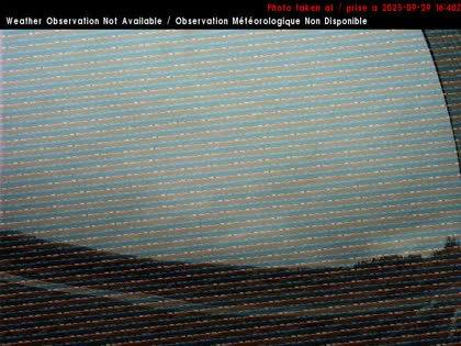 2025-09-29