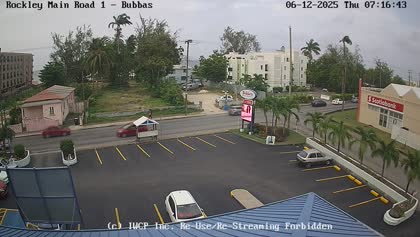 2025-06-12