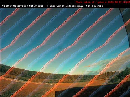2025-08-07