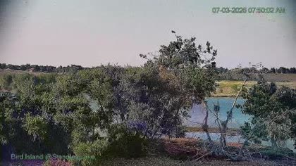 2026-07-03