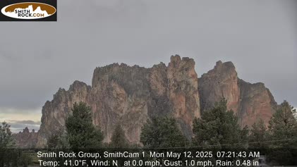 2025-05-12