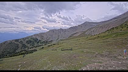2025-07-24
