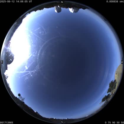 2025-06-12