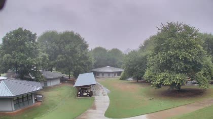 2025-08-05