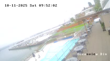 2025-10-11