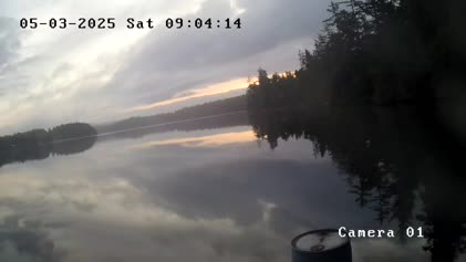 2025-05-03