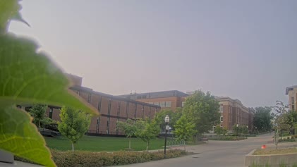 2025-06-02