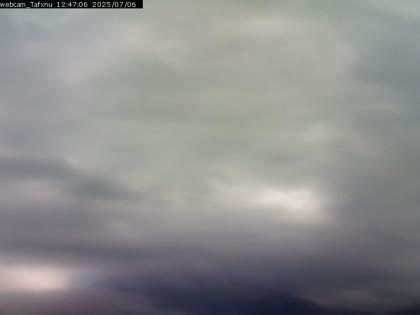 2025-07-06