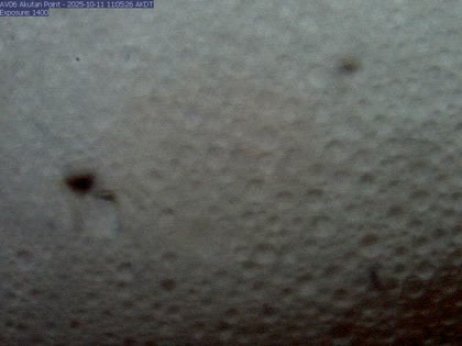 2025-10-11