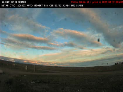 2025-08-12