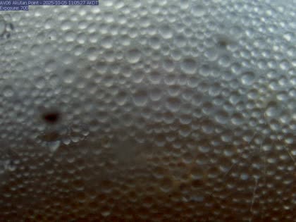 2025-10-05