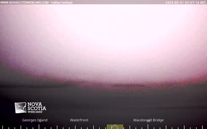 2025-05-31