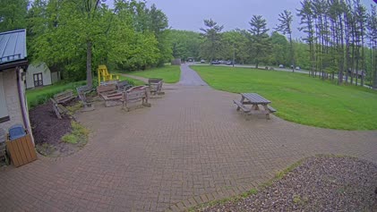 2025-05-29