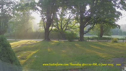 2025-06-12