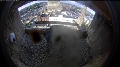 2026-09-21