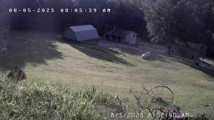 2025-08-05