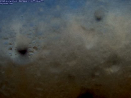 2025-09-12